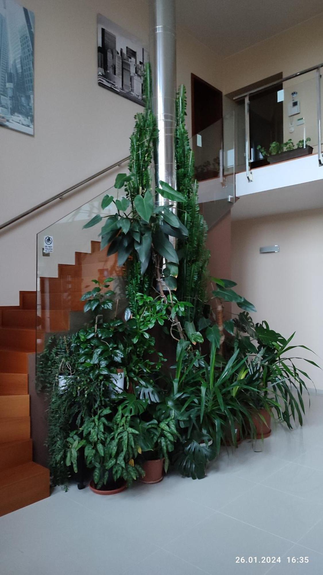 Villa Homestay Nad Helmrovkou Prag Eksteriør billede