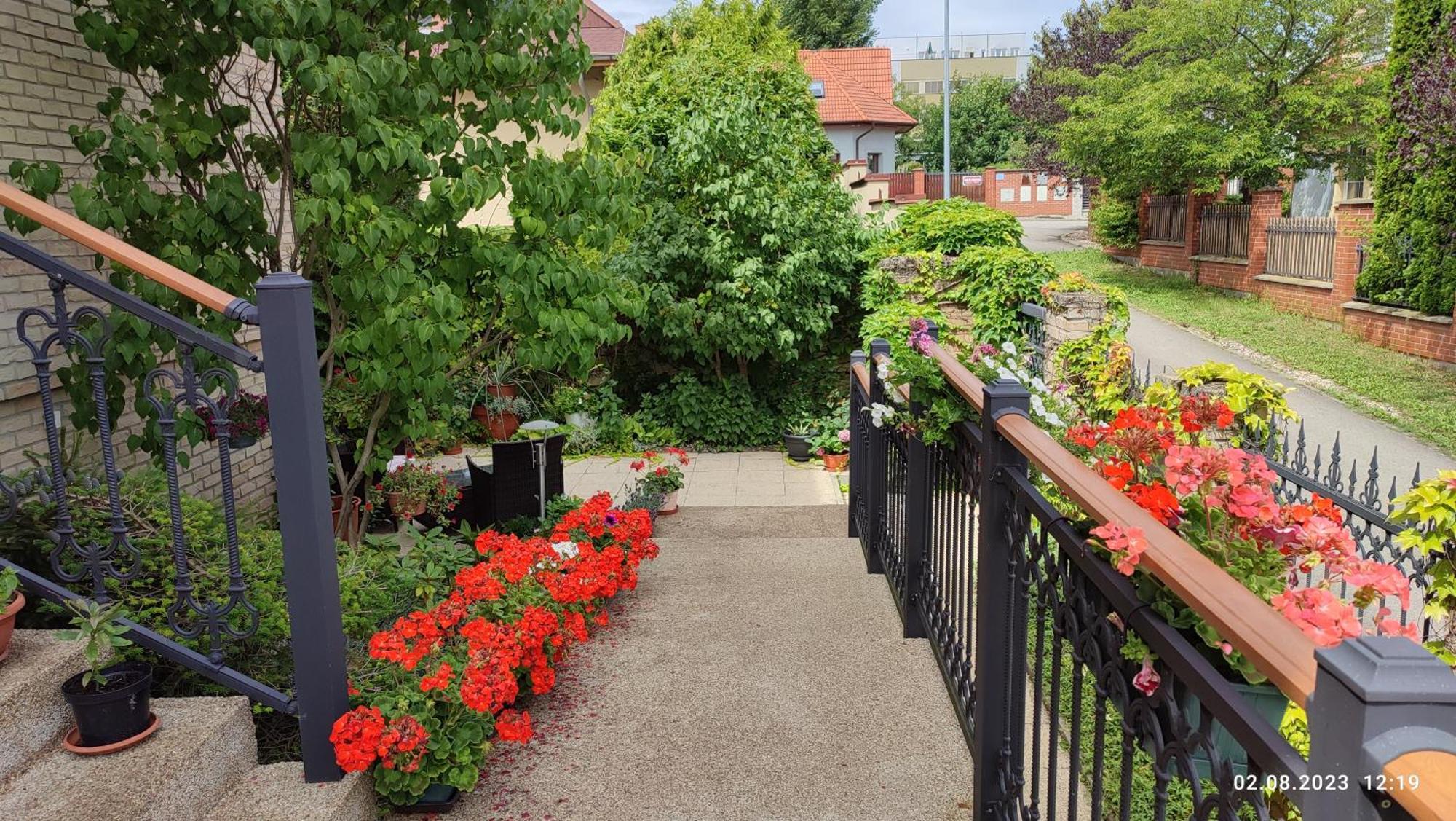 Villa Homestay Nad Helmrovkou Prag Eksteriør billede